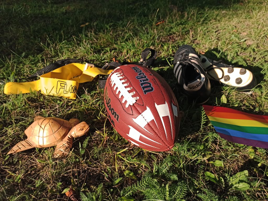 Football, Fußballschuhe, Flaggen, Schildkröte und Regenbogenflagge liegen im Gras.